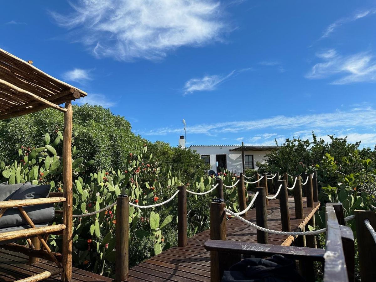 Ostrich Cottage At Les Wings Private Game Farm Groot-Jongensfontein Exterior foto